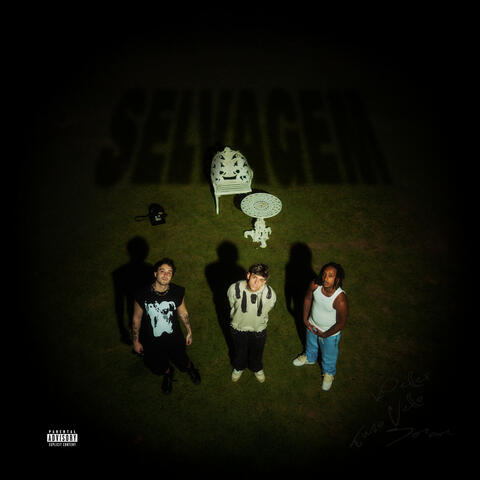 selvagem