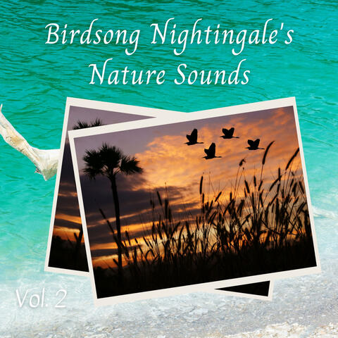 Birdsong Nightingale's Nature Sounds Vol. 2