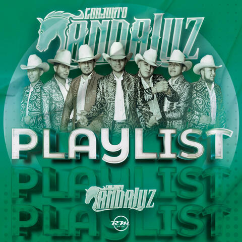 Playlist