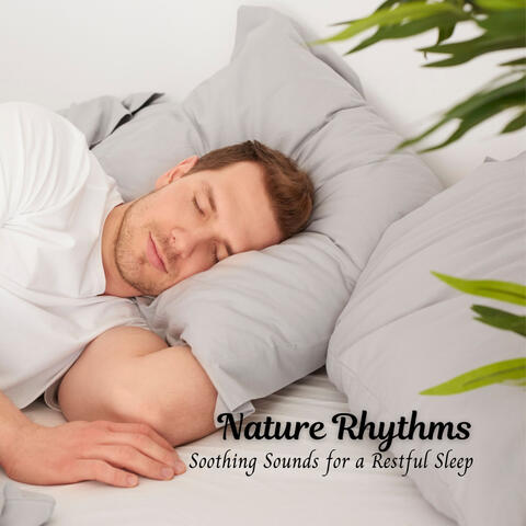 Nature Rhythms: Soothing Sounds for a Restful Sleep