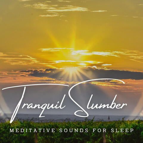 Tranquil Slumber: Meditative Sounds for Sleep