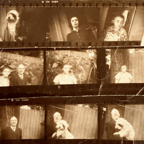 Photograph