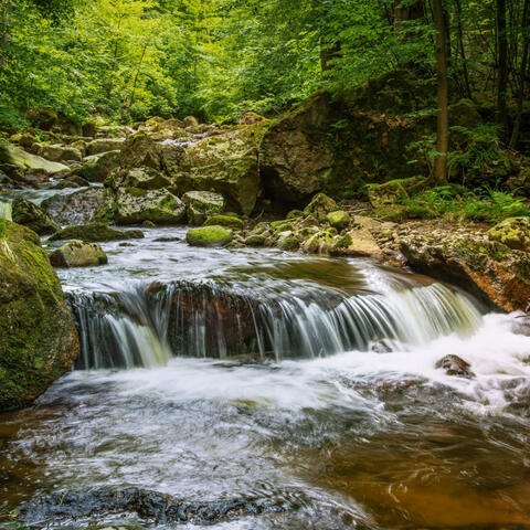 Flowing Prose: Stream's Aquatic Hymn