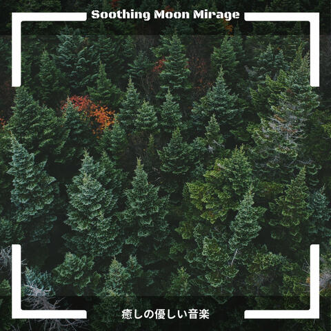 癒しの優しい音楽