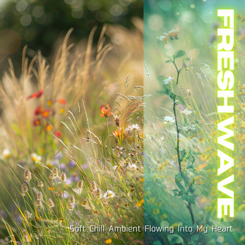 Soft Chill Ambient Flowing Into My Heart