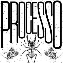 PROCESSO