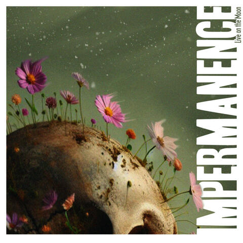Impermanence