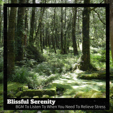 BGM To Listen To When You Need To Relieve Stress