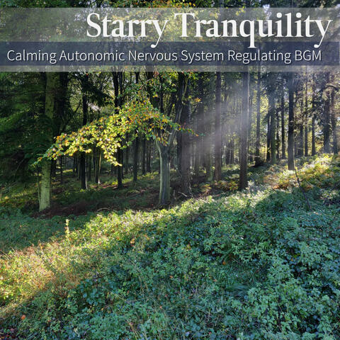 Calming Autonomic Nervous System Regulating BGM