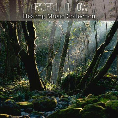 Healing Music Collection
