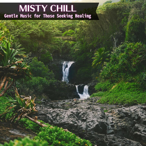 Gentle Music for Those Seeking Healing