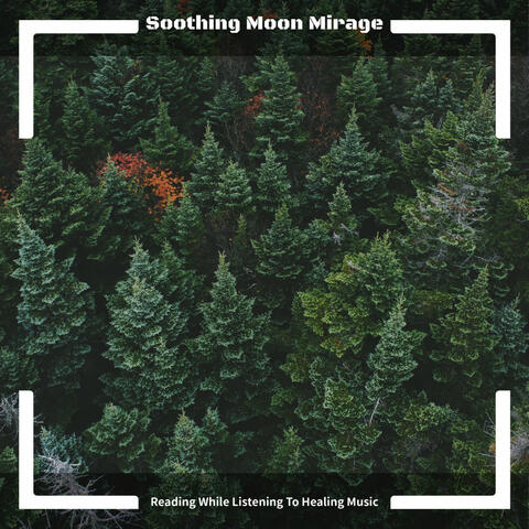 Reading While Listening To Healing Music