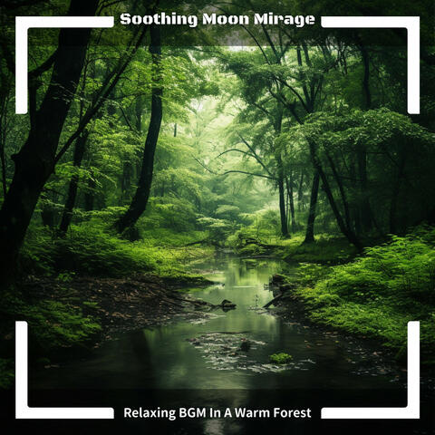 Relaxing BGM In A Warm Forest