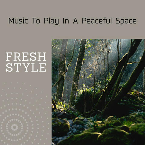 Music To Play In A Peaceful Space
