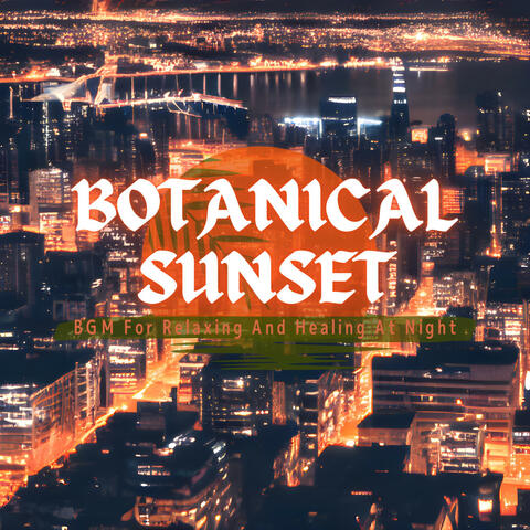 BGM For Relaxing And Healing At Night