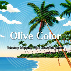 Sunny Hawaiian Lanai