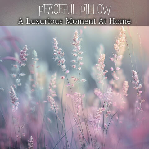 A Luxurious Moment At Home