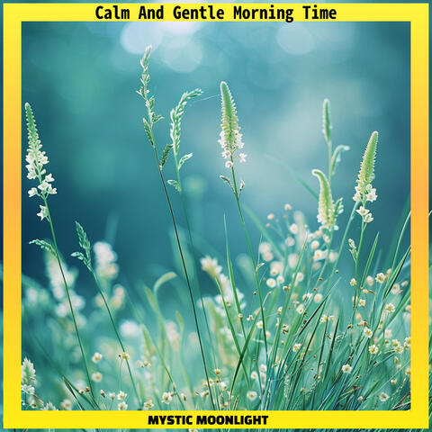 Calm And Gentle Morning Time