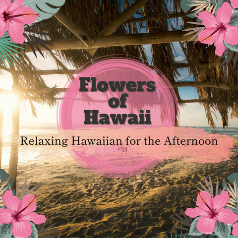 Relaxing Hawaiian for the Afternoon
