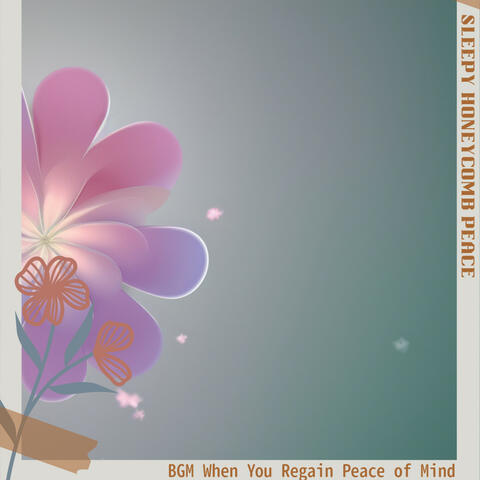 BGM When You Regain Peace of Mind