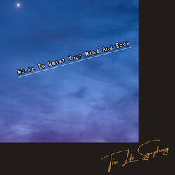 Night's Whispering Solace