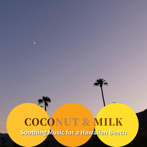 Soothing Music for a Hawaiian Beach