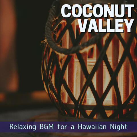 Relaxing BGM for a Hawaiian Night