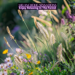 The Way to Another Plain