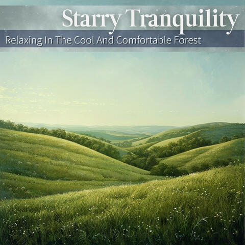 Relaxing In The Cool And Comfortable Forest