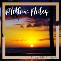 Mellow Tides and Moonlight