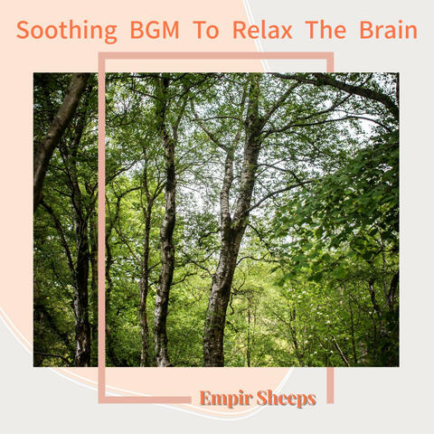 Soothing BGM To Relax The Brain