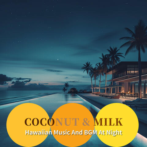 Hawaiian Music And BGM At Night