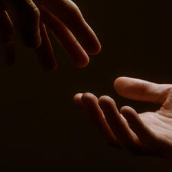 Sensorium