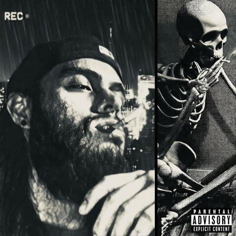 LOVE, DEATH AND TULIPS.