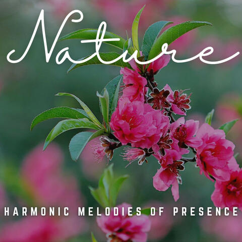 Harmonic Meditative Journeys: Sonic Bliss for Mindfulness