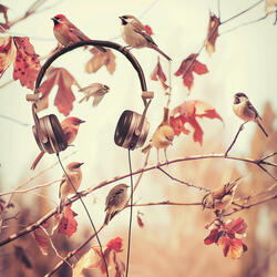 Binaural Branches Melody