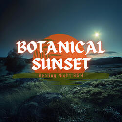 Serenity in the Silent Hours