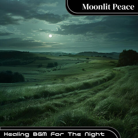 Healing BGM For The Night