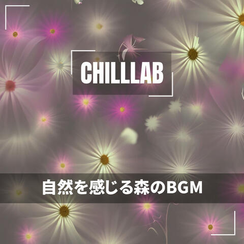 自然を感じる森のBGM