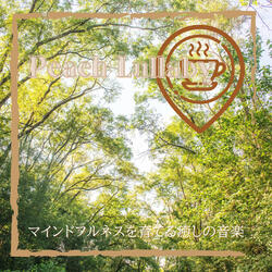 Shimmering Starlight Reverie