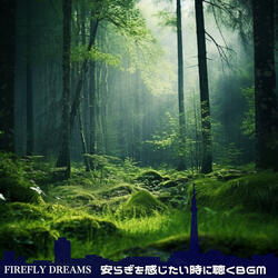 Lazy Seagull Soaring High