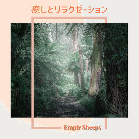 癒しとリラクゼーション