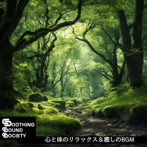 心と体のリラックス＆癒しのBGM