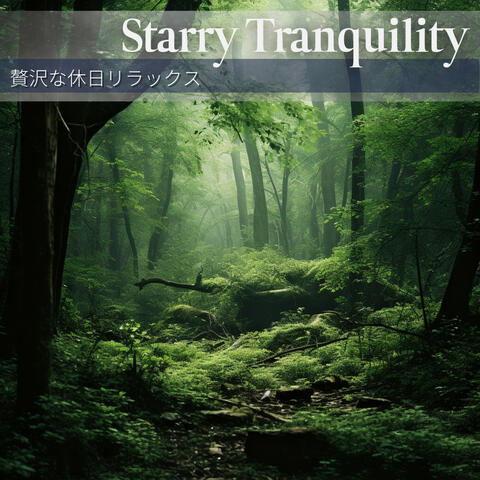 贅沢な休日リラックス