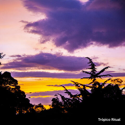Tropico Ritual