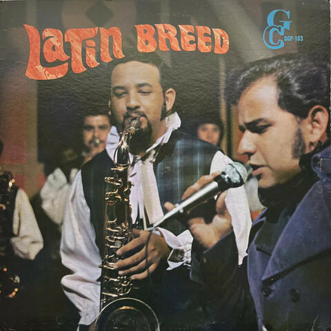 Latin Breed