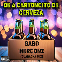 DE A CARTONCITO DE CERVEZA