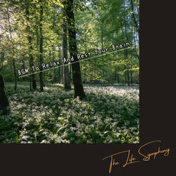 Soft Glimmers of Rest