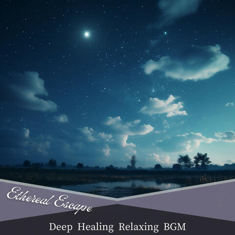 Deep Healing Relaxing BGM