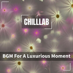 Peaceful Evening Tide